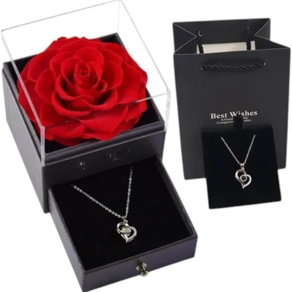 Colar Refletor Eu te Amo Em 100 Idiomas Romantico + Rosa Eterna Caixa Presente Dia dos Namorados